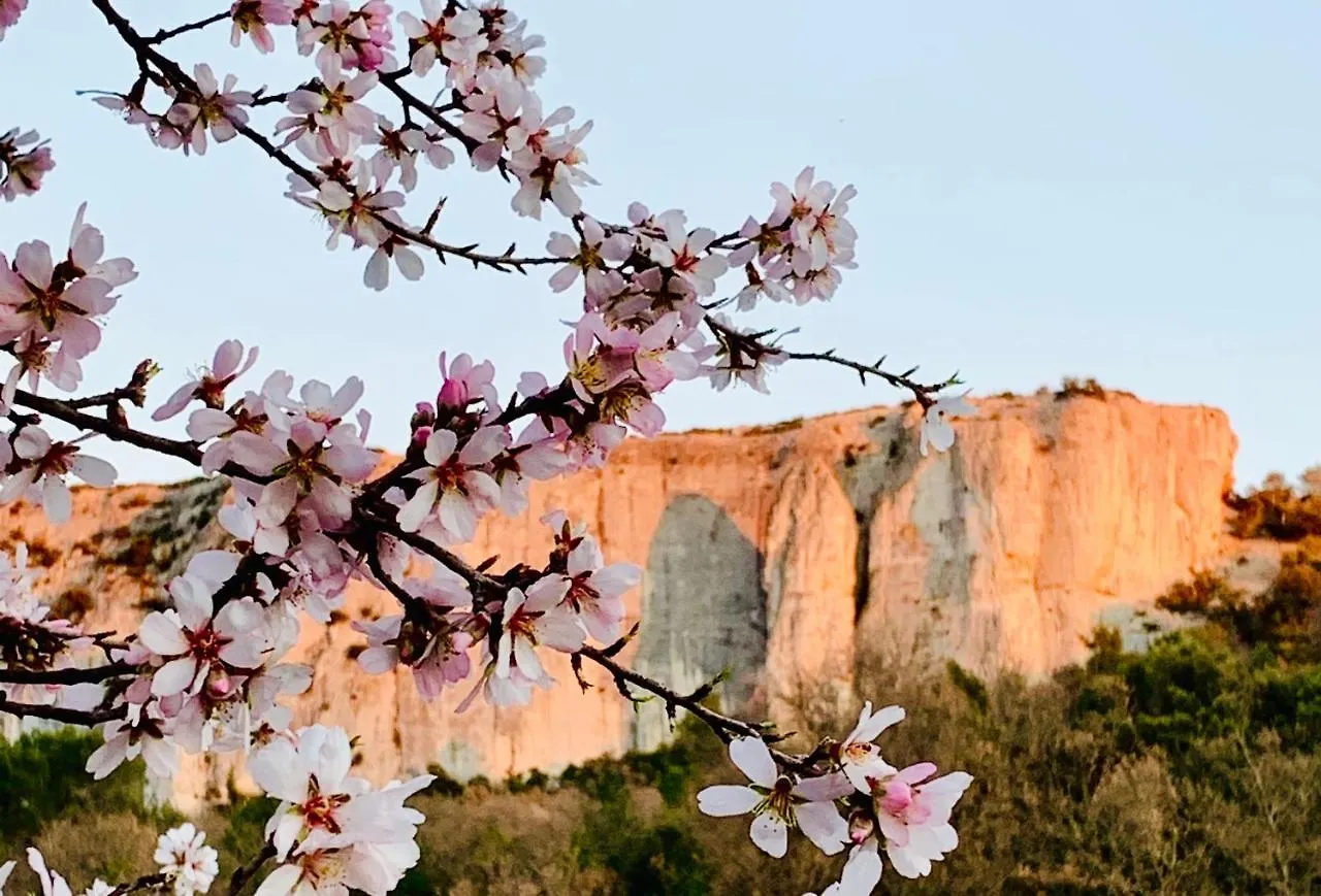 Bed & Breakfast Le Mas Aux Cedres - Teritoria Lioux